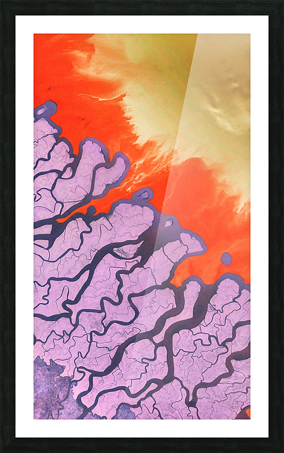 splash Picture Frame print