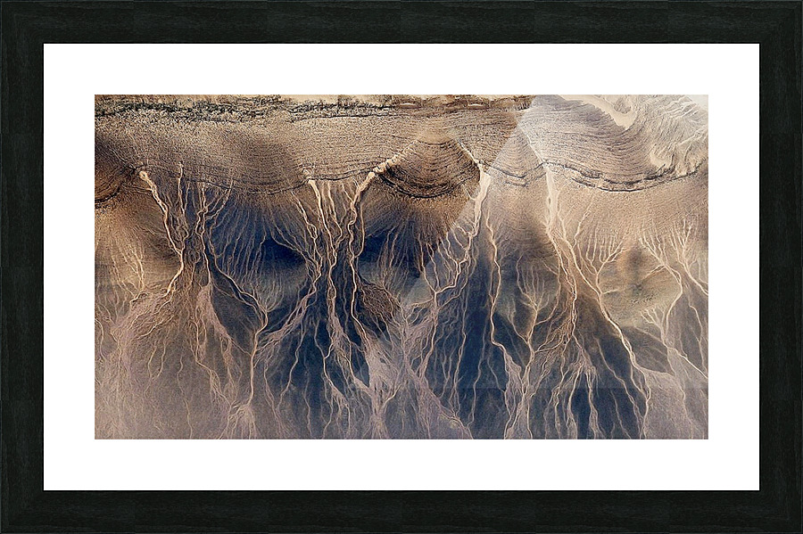 rooted Picture Frame print