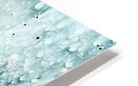 follow HD Metal print