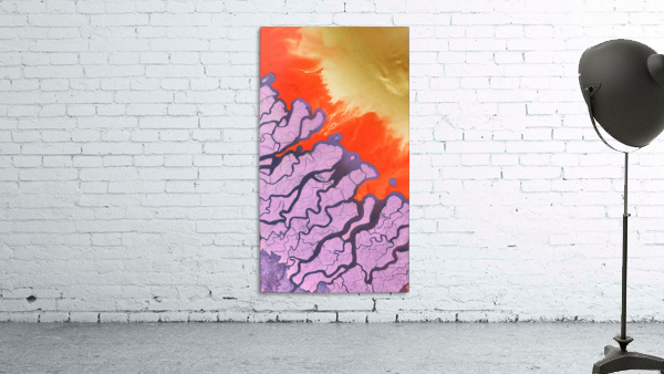 splash Wall Preview