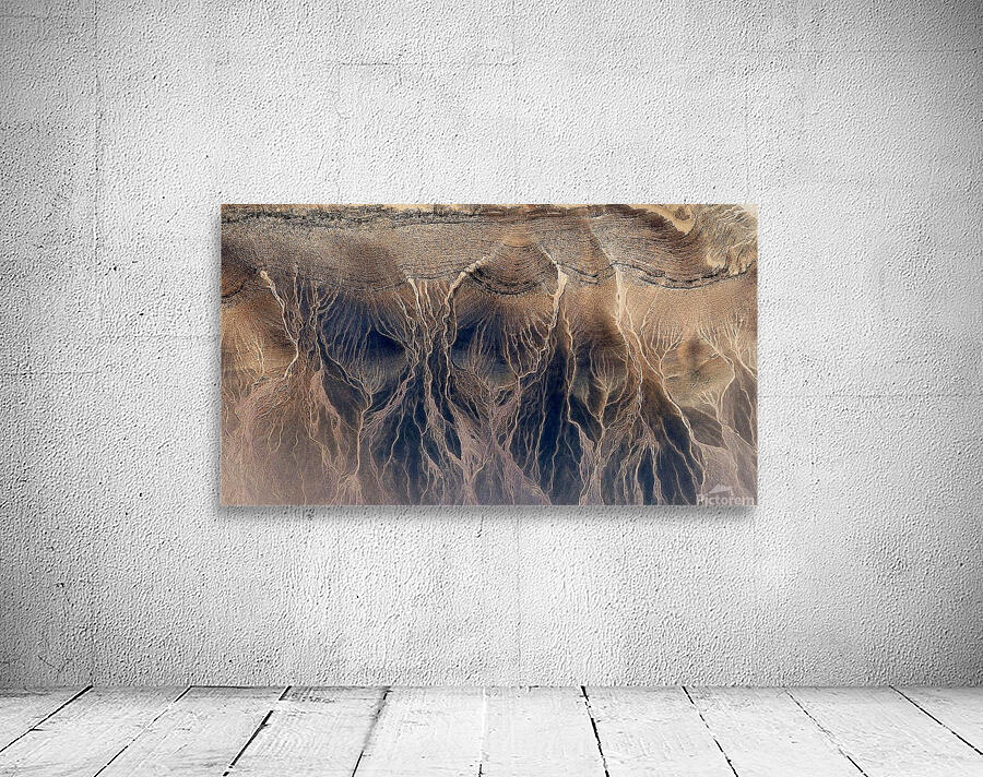 rooted Wall Preview