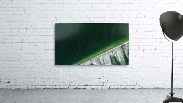 weaving Wall Preview