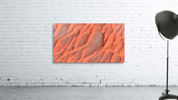 scatter Wall Preview