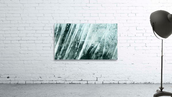 follow Wall Preview