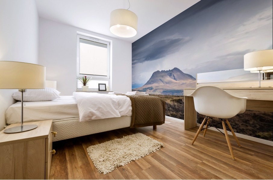 Iceland mountains  Mural print