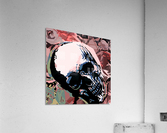 skull soul vector Acrylic Print