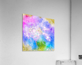 universal Acrylic Print