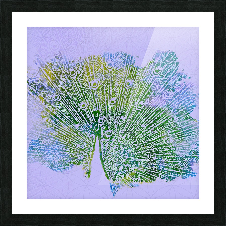 peacock Picture Frame print