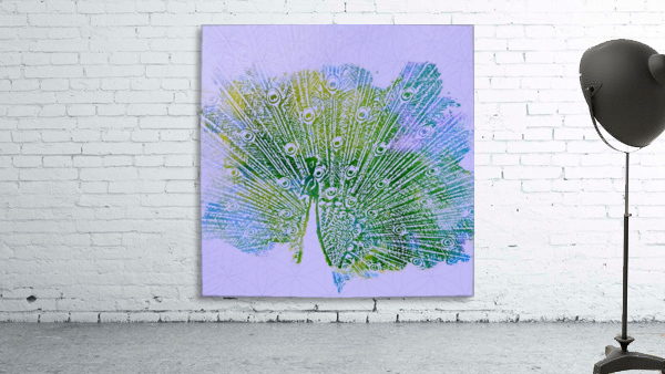 peacock Wall Preview