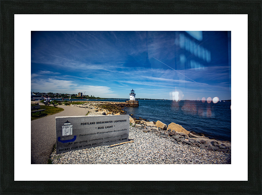Bug Light Picture Frame print