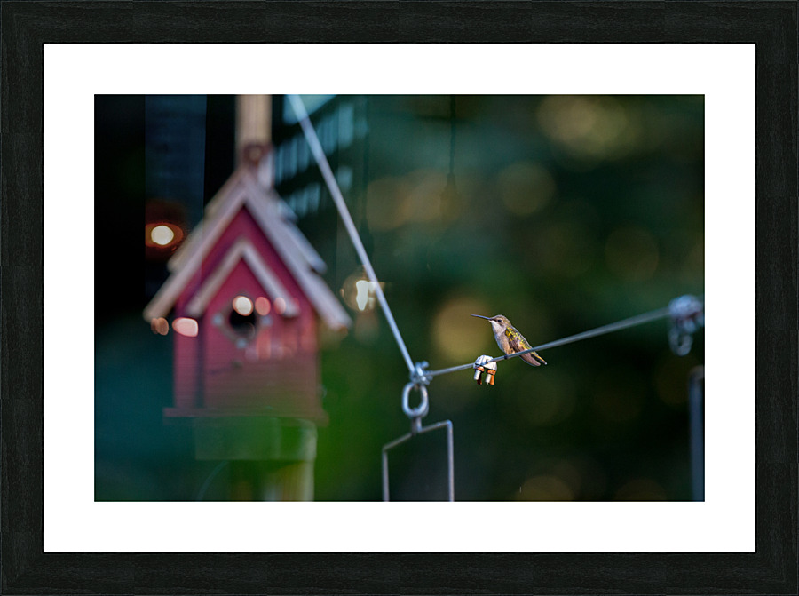 Birds on a Wire Picture Frame print