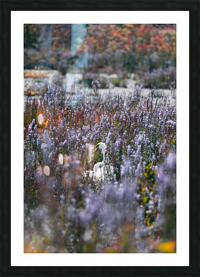 Hideaway Picture Frame print