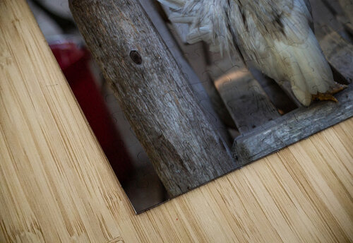 Rooster Business Ben Ross Photography puzzle