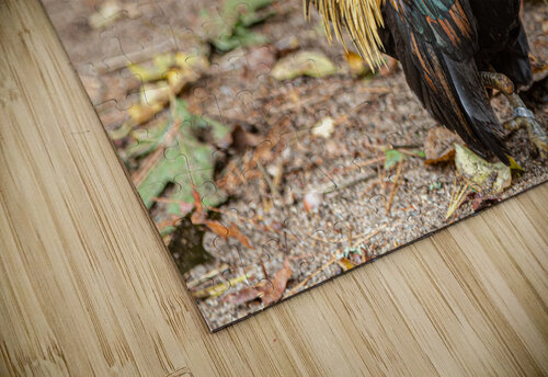 Perfectly Posed Ben Ross Photography puzzle