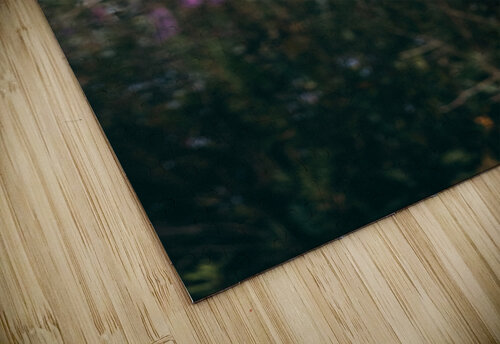 Swan Song Ben Ross Photography puzzle