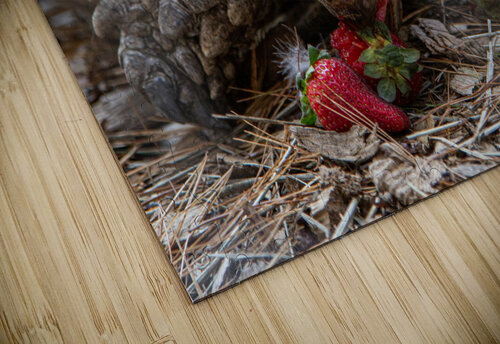Sweet Snack Ben Ross Photography puzzle