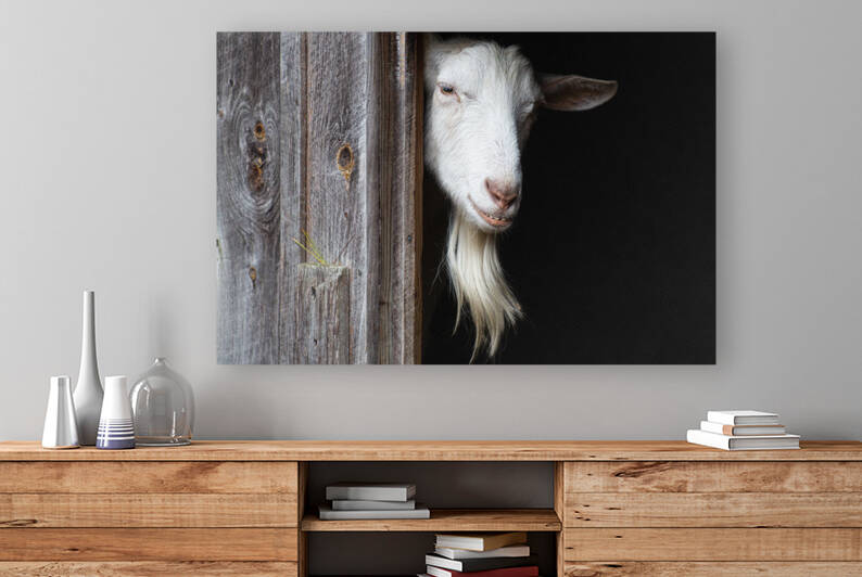 The Grinning Goat by Ben Ross Photography