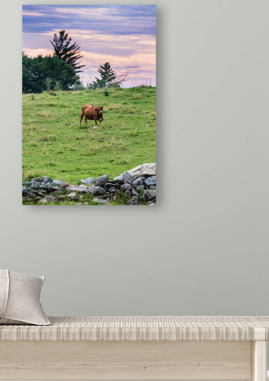 Happy Cow Reproduction