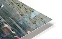 Swan Song HD Metal print