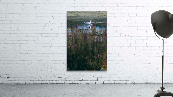Swan Song Wall Preview