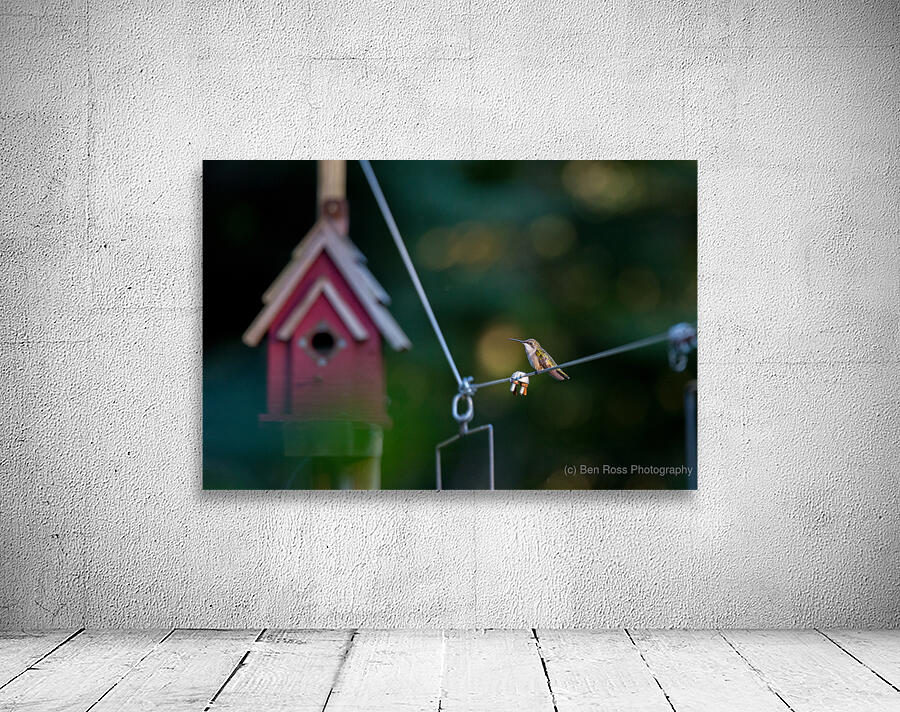Birds on a Wire Wall Preview