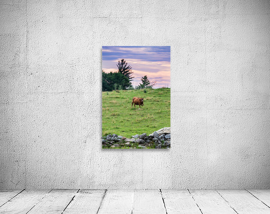 Happy Cow Wall Preview