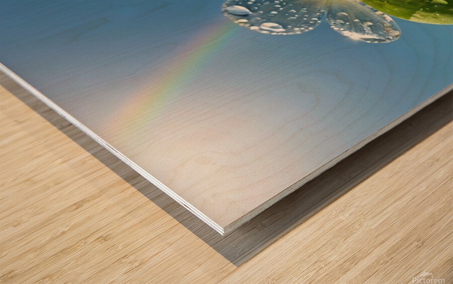lovely pastel rainbow on the clearly blue sky background Wood print