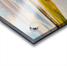 Marsh 2 Acrylic print