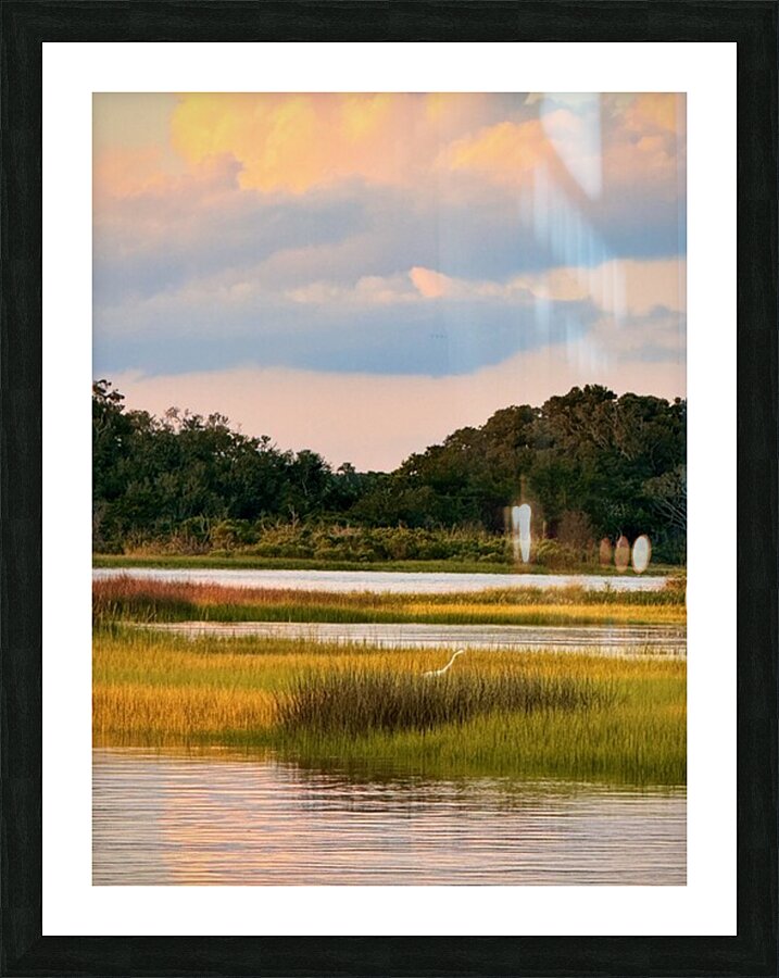 Marsh 1 Picture Frame print