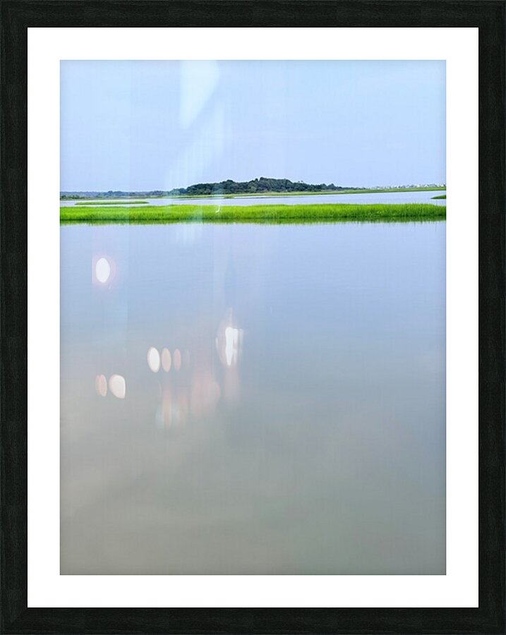 Egret 1 Picture Frame print