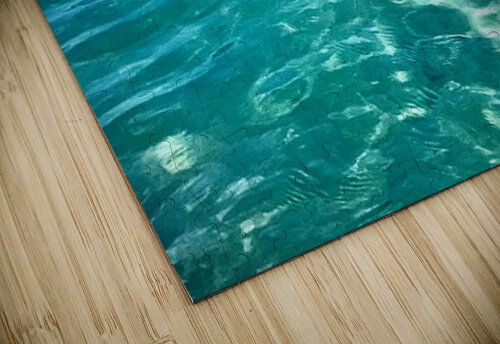 Shoreline 2 Adelaide Smith puzzle