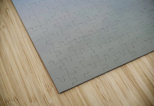 Egret 1 Adelaide Smith puzzle