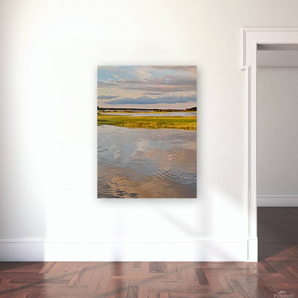 Marsh 2 Reproduction