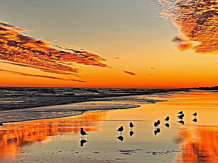 Sunset 6 Reproduction