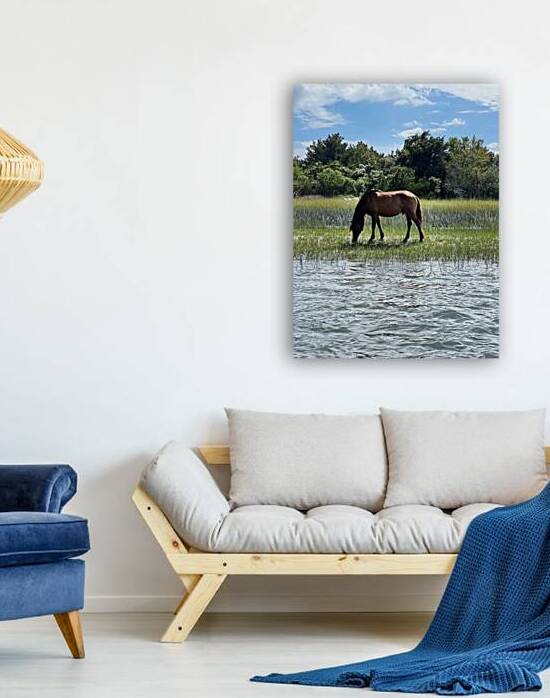 Wild Horses Reproduction