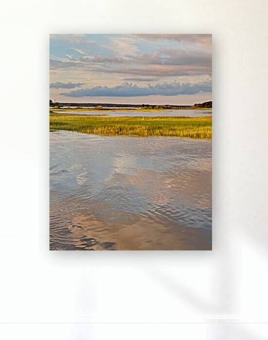 Marsh 2 Reproduction