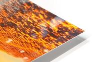 Sunset 6 HD Metal print