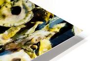 Oysters 1 HD Metal print