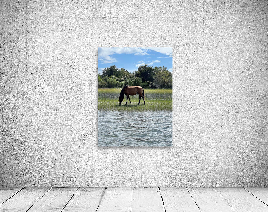 Wild Horses Wall Preview