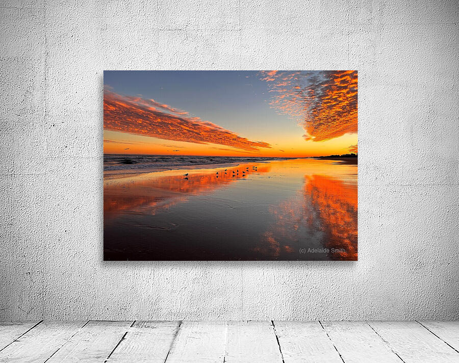 Sunset 5 Wall Preview