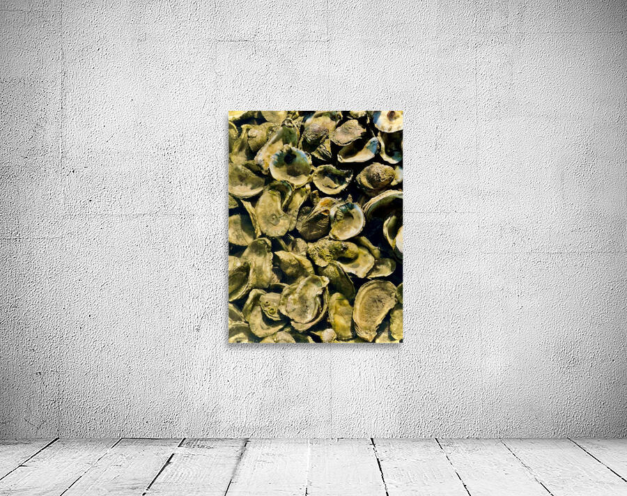 Low Tide Oysters 2 Wall Preview