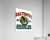 Baltimore Orioles 22 Acrylic Print