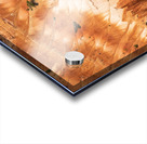 Bryce Canyon Theater Acrylic print