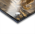 Badlands Bighorn Sheep Acrylic print