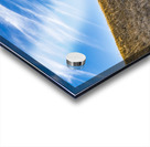 Slanted Tree Acrylic print