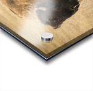 Bison of The Badlands Acrylic print