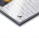 The Watchman of Zion Acrylic print