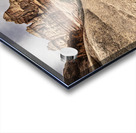 Canyonlands Half Pipe Acrylic print