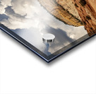 Zion Towers Acrylic print