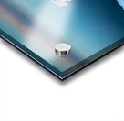 Sunrise on Ice Acrylic print